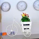 Alekta - Free Parking Hotel 3*