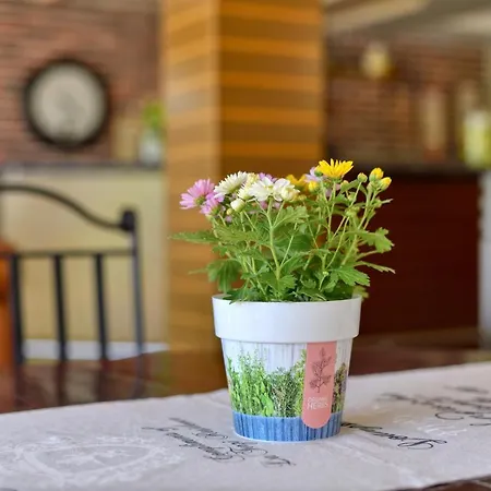 Alekta - Free Parking