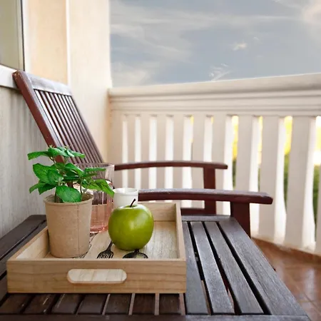 Alekta - Free Parking Warna