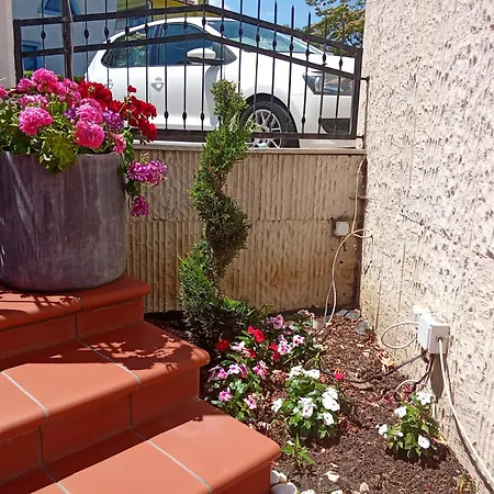 Alekta - Free Parking Hotel Warna