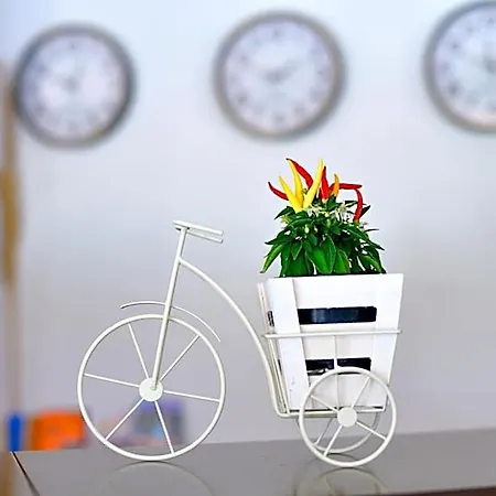 Alekta - Free Parking Hotel Warna